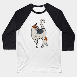 Begging for Pettings--Calico Style Baseball T-Shirt